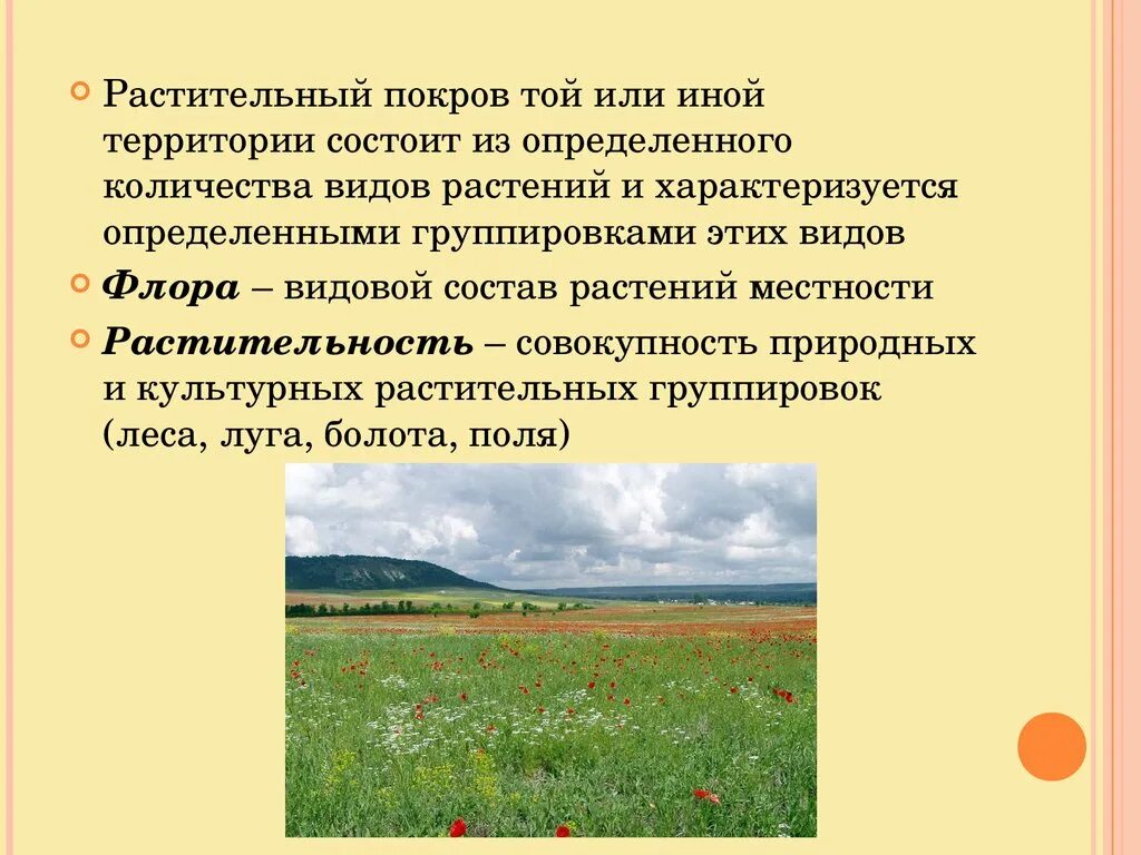 Участок с растительным покровом. Растительный Покров. Типы растительности Покрова. Типы растительного Покрова на земле. Растительность (растительный Покро.