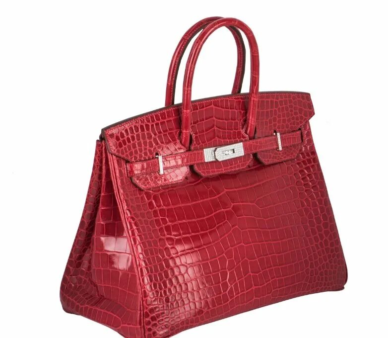 Кайли дженнер с сумками хермес. Hermes birkin самая дорогая сумка. Самая дорогая сумка биркин. Hermes birkin rare. Birkin croco.