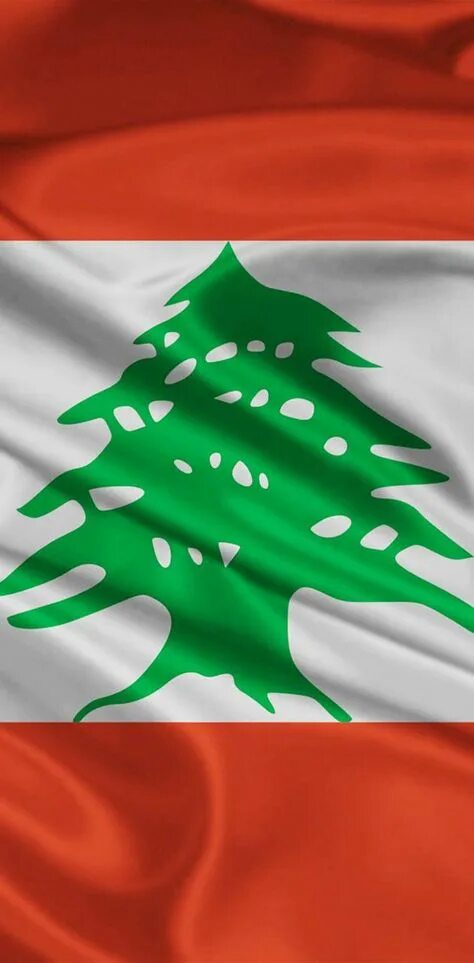 Какой флаг ливан. Флаг lebanon. ливанский флаг. герб ливана. флаг бейрута.