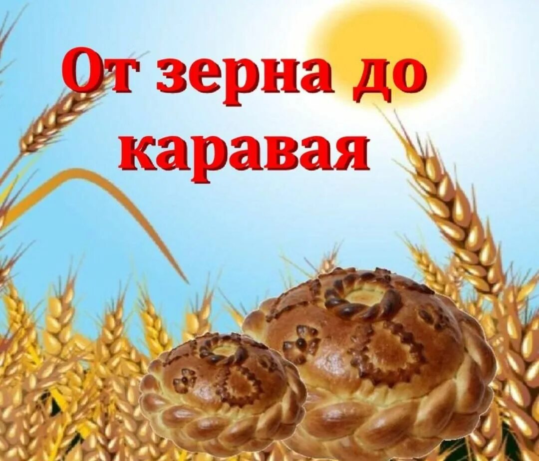 Путь от зёрнышка до каравая. От зерна до каравая. О хлебе для детей дошкольного возраста. Тематическая неделя хлеб всему голова. От зернышка до каравая.
