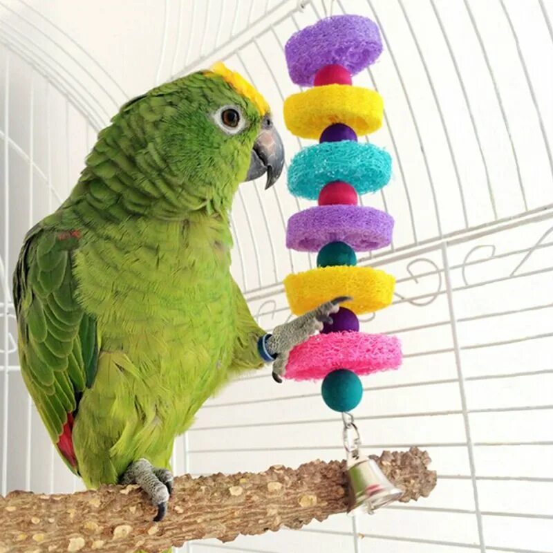 Curl parrot