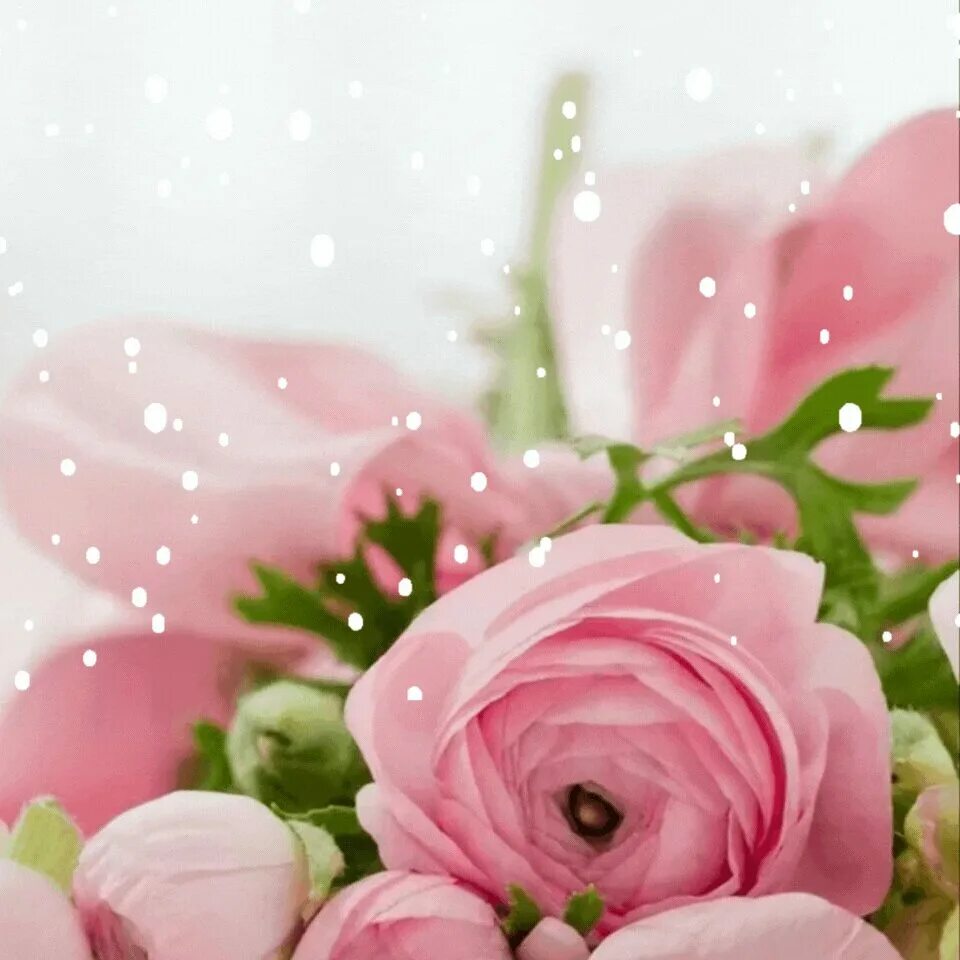 С днем рождения нежность. Нежный букет на день рождения. Самое нежное поздравление. Стильные открытки с цветами. Открытки с днём рождения женщине.