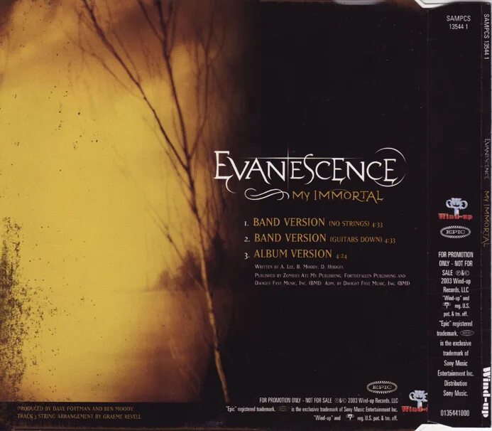 Песня my immortal. Evanescence my Immortal. Evanescence Immortal текст. My Immortal Band Version Evanescence. Evanescence - my Immortal (Band Version, Guitars down).
