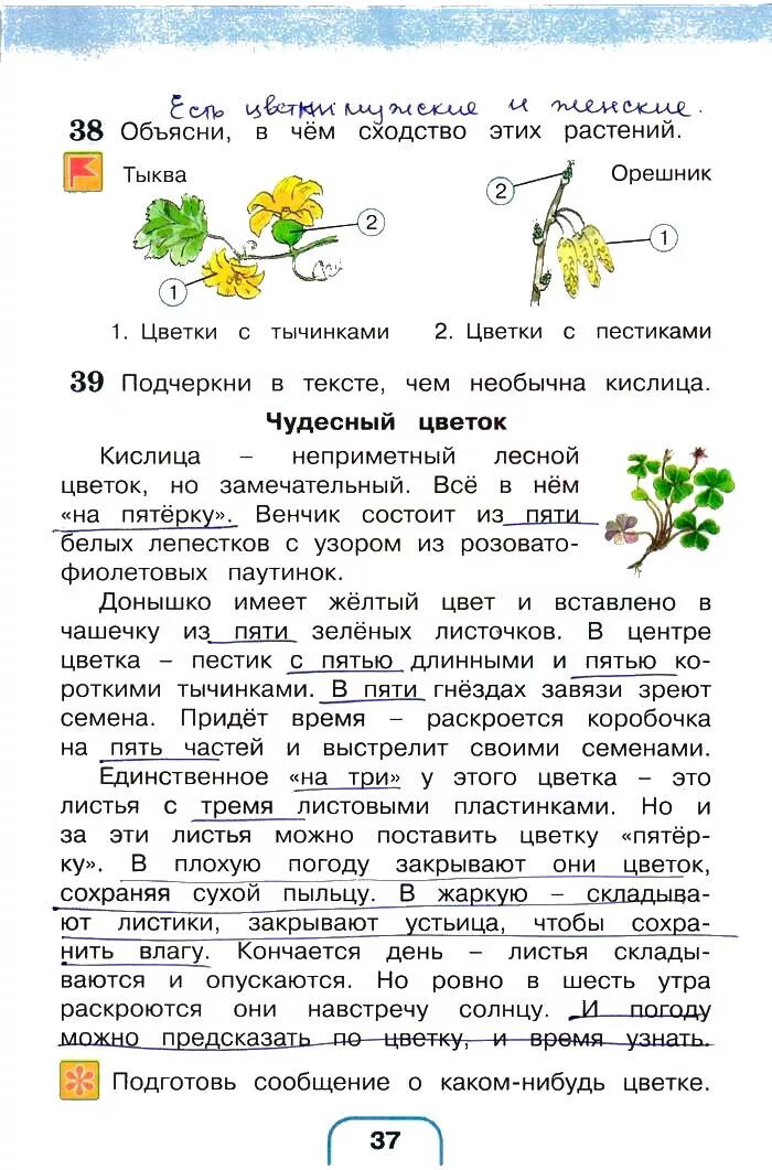 Окружающий мир 3 класс 2 часть рабочая тетрадь страница 37. Текст по окружающей миру. Текст по окружающему миру 3 класс. Тексты окружающий мир 3 класс.