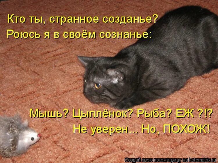 дурной вопрос. а теперь к серьезным вопросам. очень легко быть красивой. задай вопрос. какие вопросы можно задать подруге.