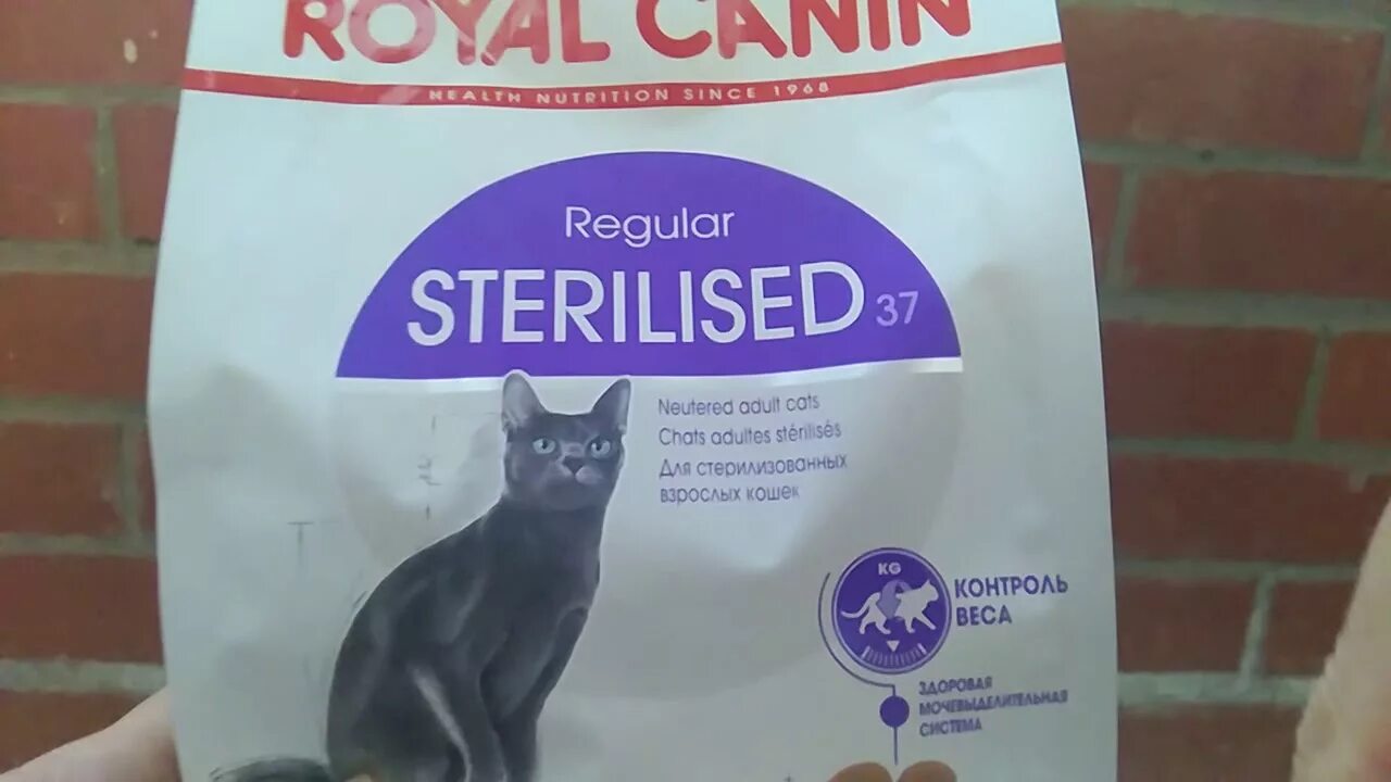 Royal canin для кошек sterilised 37. Роял Канин 37. Royal Canin Sterilised 37 стерилизованных. Sterilised 7+ Роял Канин. Роял Канин Стерилайзд для кошек 4 кг.