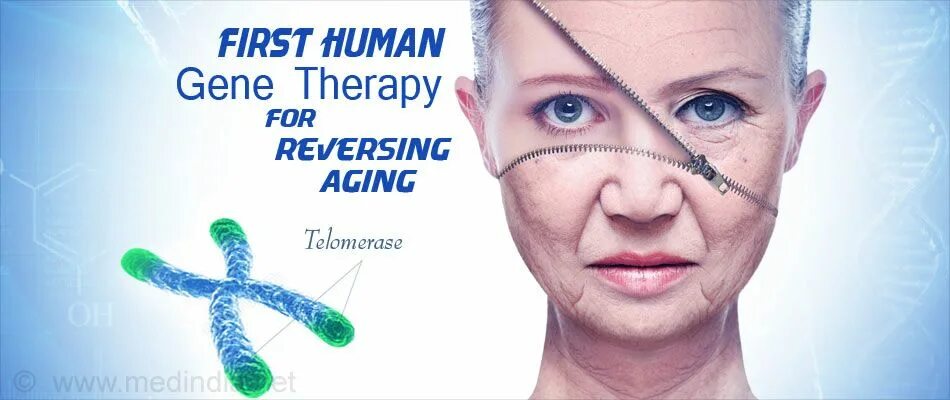 Gene Therapy Novartis. Genetic.success2.0. Serum Youth shots Telomere protecting Anti Aging. Against Aging contra разница.
