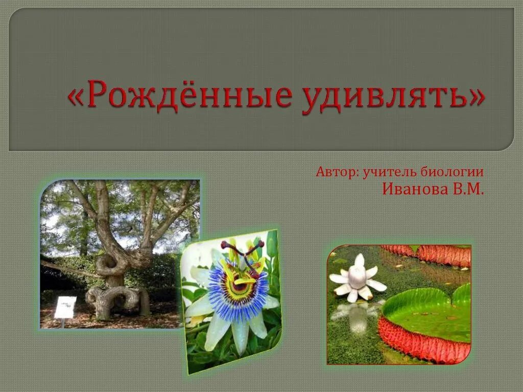 Рожден удивлять. Рожден удивлять. Рожден удивлять. Рожден удивлять. Рожден удивлять.