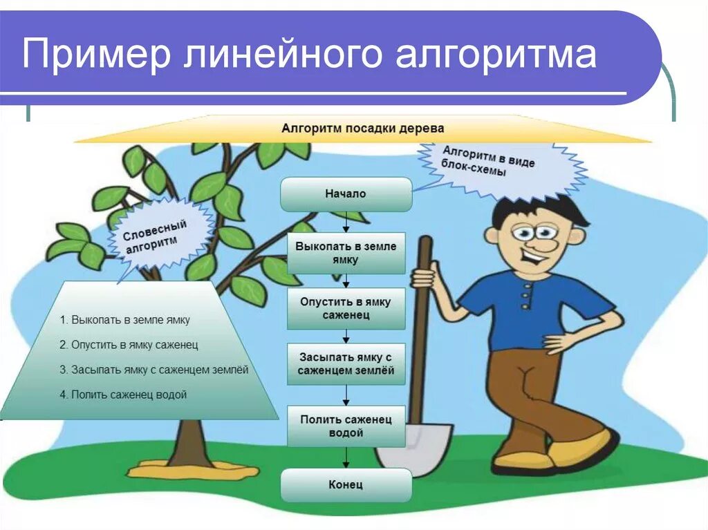 Алгоритмы. Примеры алгоритмов. Алго. Алгоритмы в повседневной жизни.