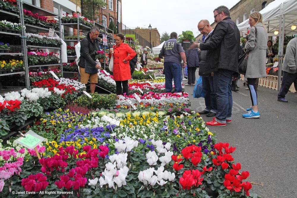 Новый цветочный рынок. Columbia Road Flower Market London. Остановка цветочный рынок. Цветочный рынок в Краснодаре. Стихийный цветочный рынок СССР.