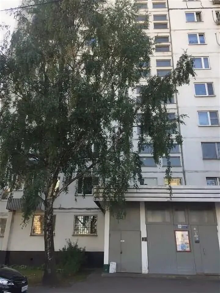 Ул удальцова 89