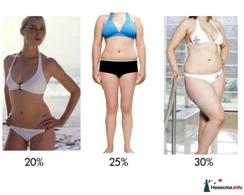 Процент жира. 20 процентов подкожного жира. Процент жира. Уровень жира у мужчин. Как выглядит разный жира.