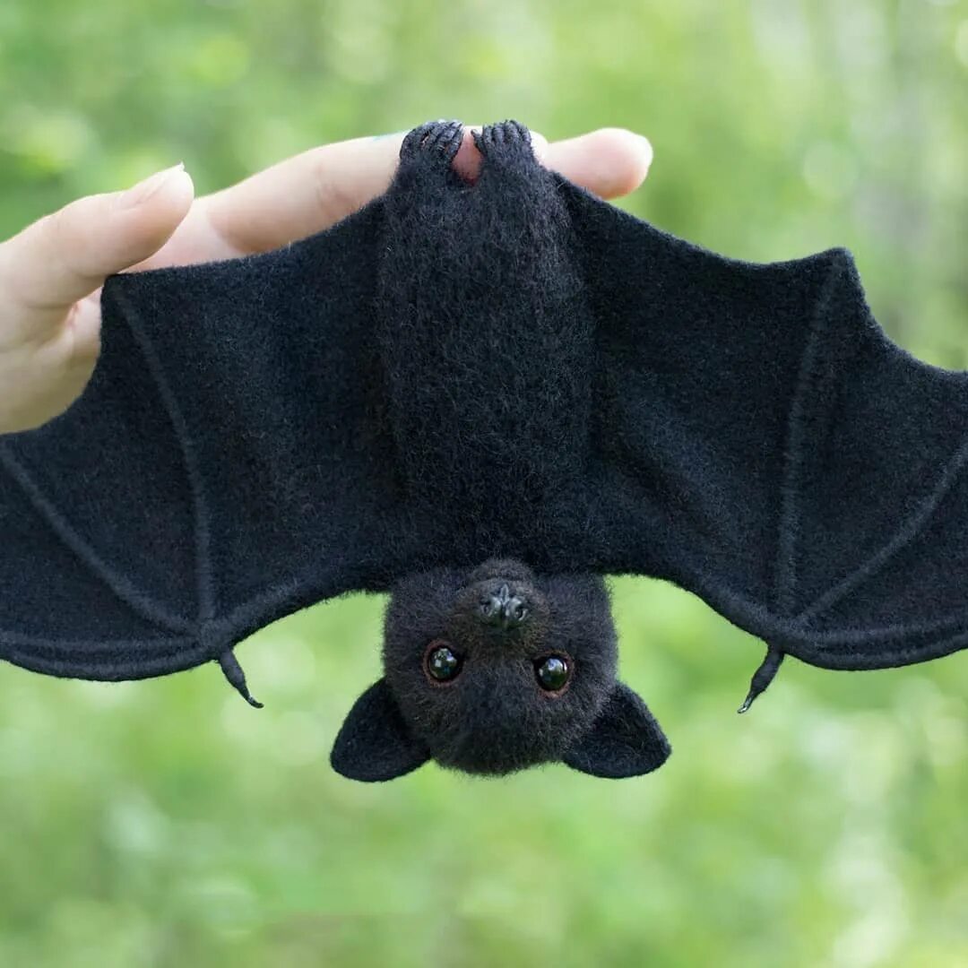 Мышью летучую поставить. Пещерный крылан. Мышью летучую поставить. Крылан летучая лисица. Крылан дракон.