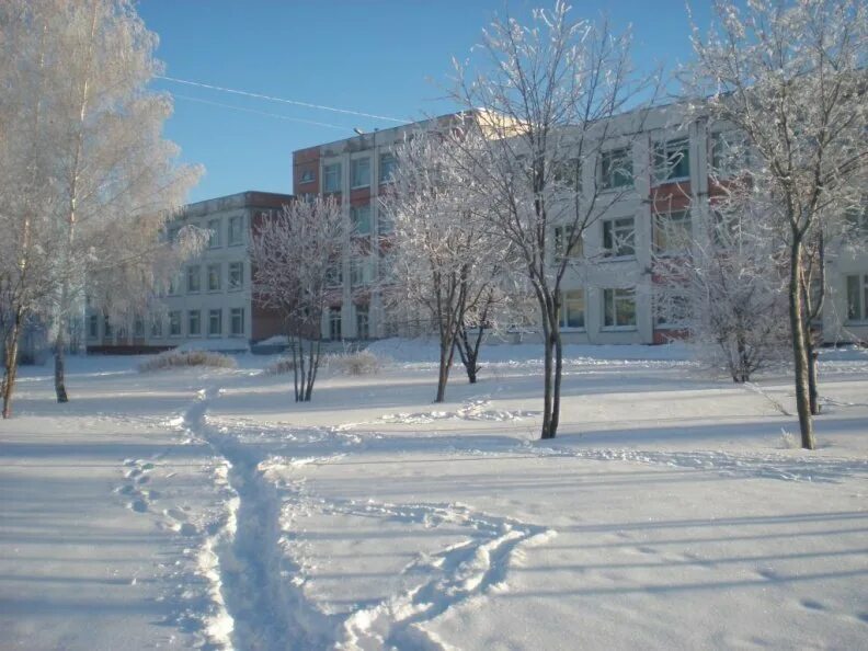 Муниципальное бюджетное общеобразовательное 18. МБОУ гимназия Моршанск. Гимназия Моршанск 1 корпус. Школа гимназия 22 Моршанск. Гимназия 4 Дзержинский.