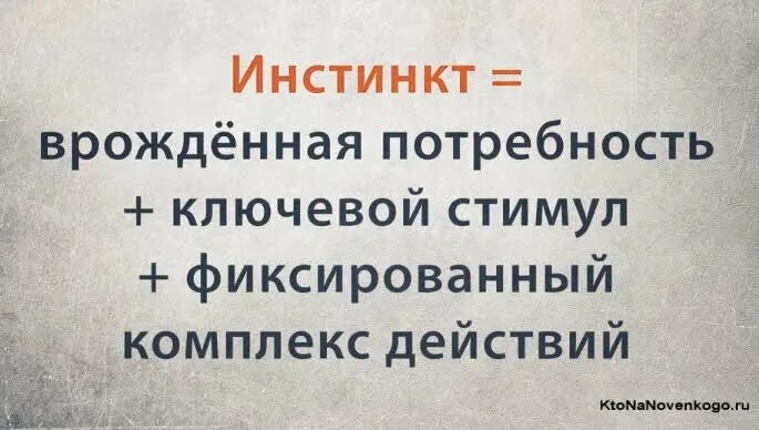 Общественный инстинкт. Инстинкты человека. Инстинкты человека список. У человека есть инстинкты. Примеры инстинктов у человека.