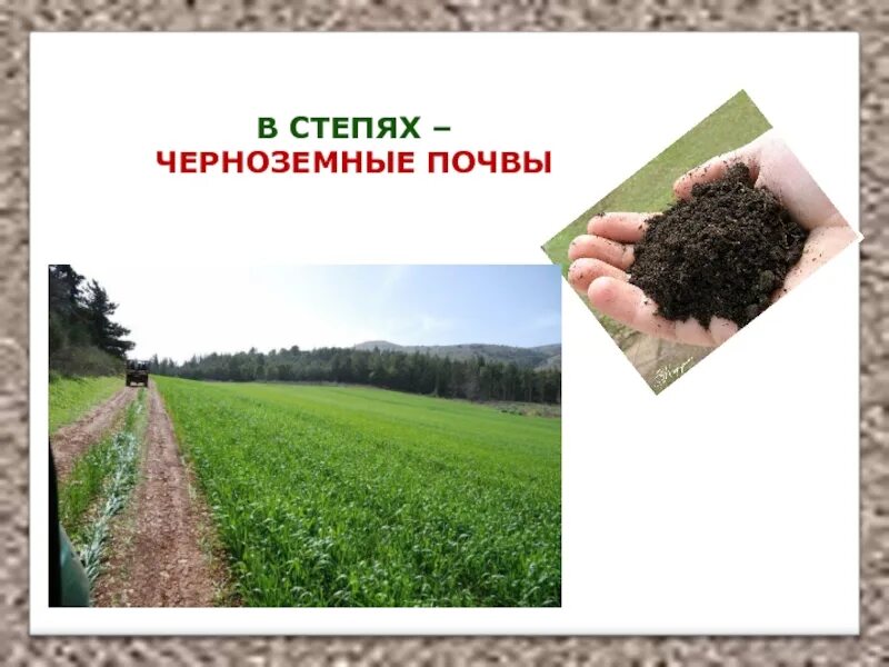 Земля кормилица рабочий лист. Земля кормилица. земля кормилица 4 класс. что такое почва 4 класс окружающий мир. проект на тему земля кормилица.