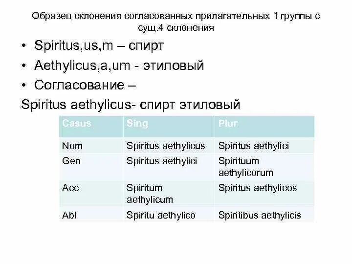 Spiritus склонение. Согласование существительного и прилагательного в латыни. Прилагательные первой группы латынь. Согласование прилагательных в латинском.