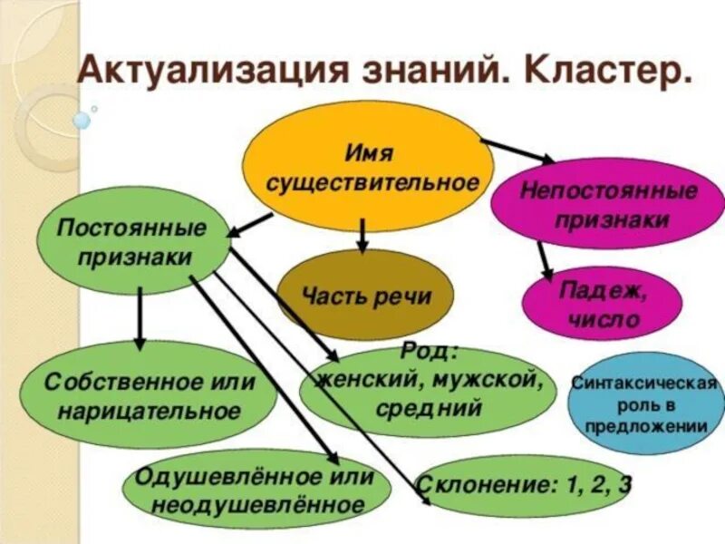 Портрет существительного