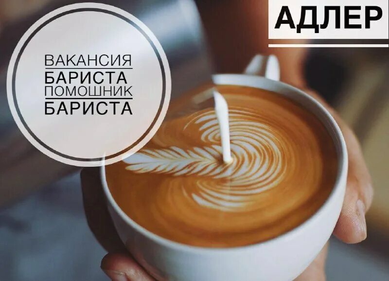 адлер вакансии. сочи вахта. подработка иваново. вакансии адлер для мужчин свежие. ищу работу в сочи.