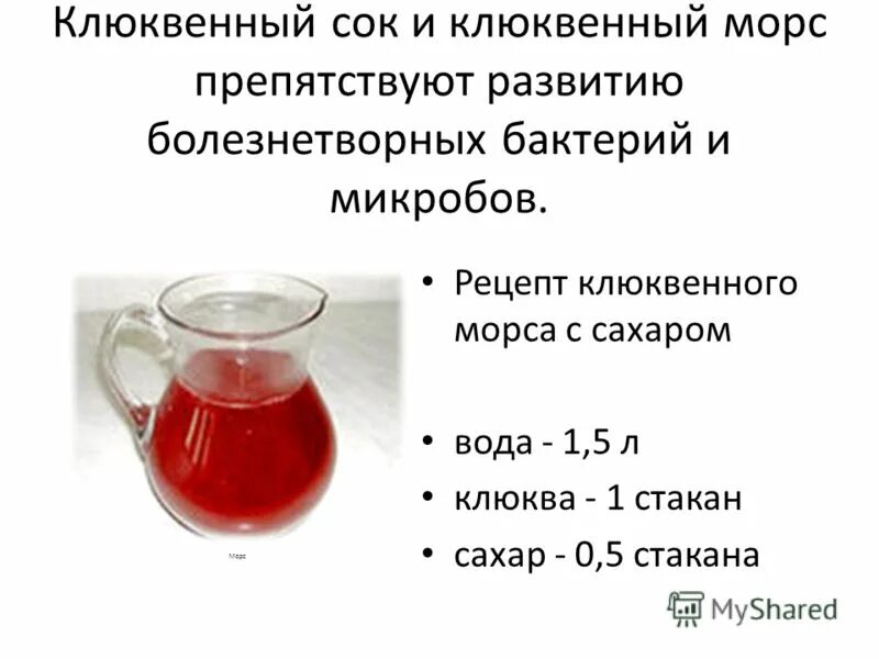 Компот без сахара рецепт. Пропорции морса. Полезные морсы рецепты. Брусника с сахаром на зиму без варки. Полезные морсы для организма.