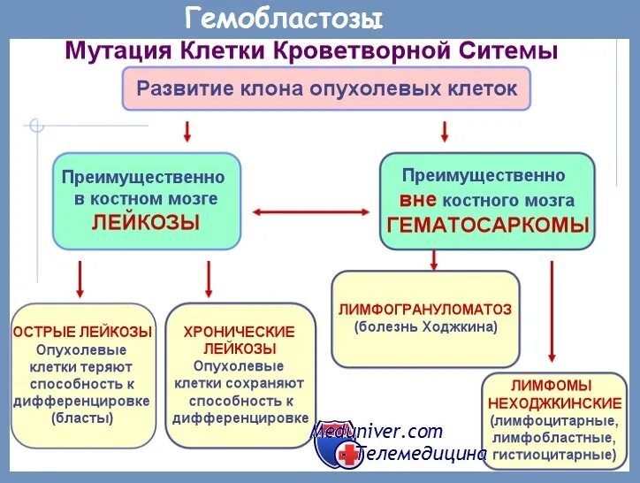 Гемобластозы лейкозы. Классификация гемобластозов. Этиология гемобластозов. Гемобластозы патогенез.