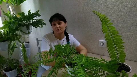 Plant 2021