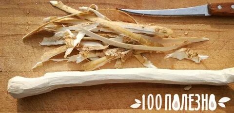 Что можно сделать из корня хрена