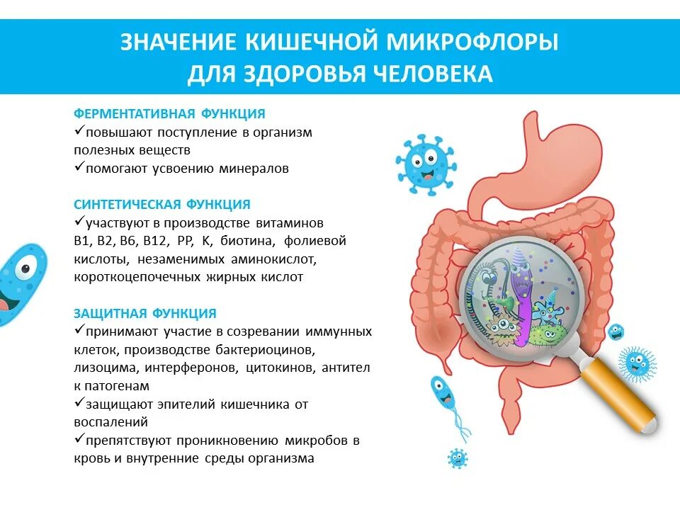 Как восстановить микрофлору кишечника у ребенка. Роль кишечной микрофлоры в жизнедеятельности организма человека. значение кишечной микрофлоры для организма человека. важность микрофлоры кишечника. функции кишечной микрофлоры в организме человека.