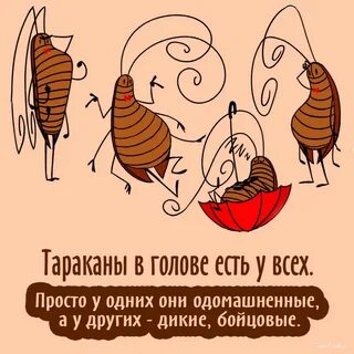 Тараканы в моей голове