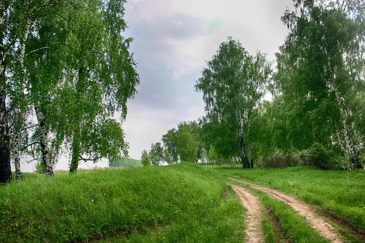 Природа родного края. Природа нашего края. Родные края. Тропинками родного края. Картинка родная природа