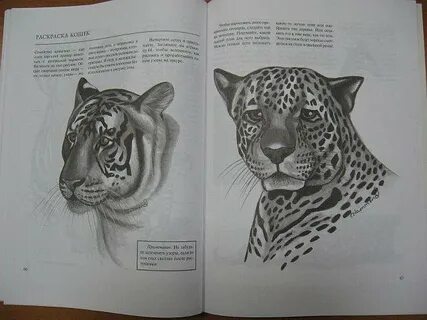 Книга рисунков животных