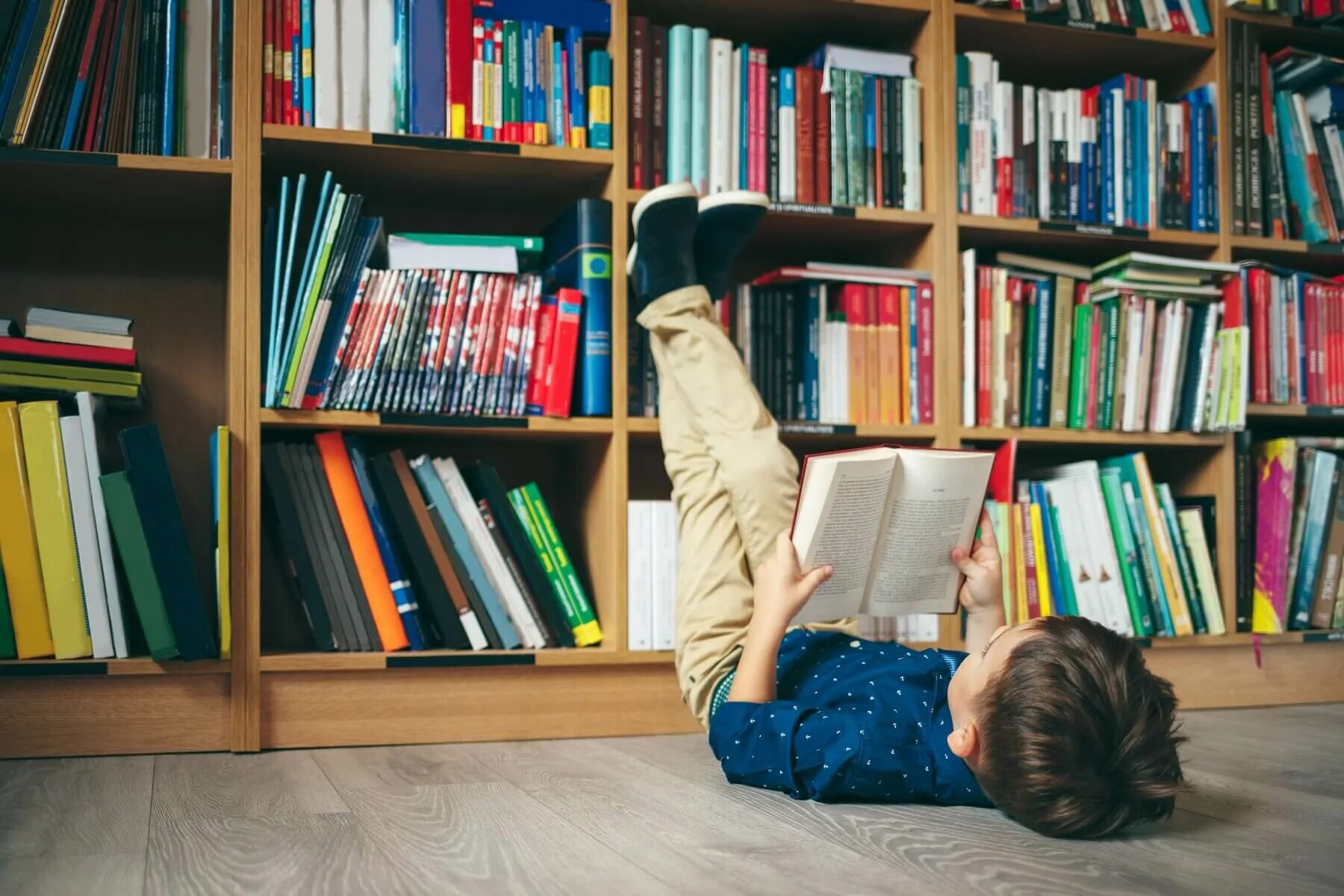 Study every day