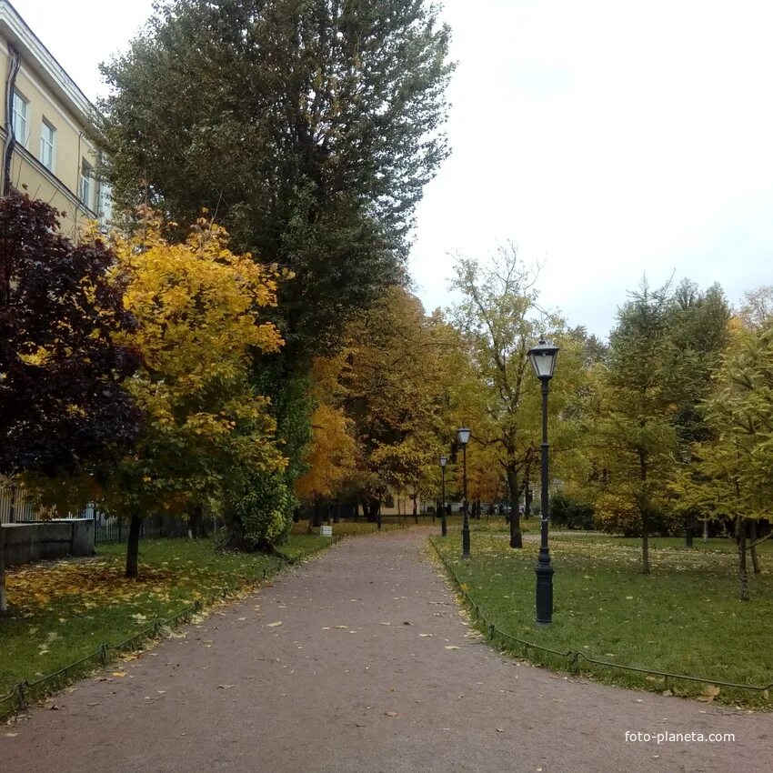 Сангальский сад Санкт-Петербург. Сад Сан Галли СПБ. Сангальский сад на Лиговском. Сангальский парк.