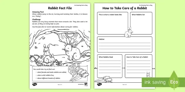 Portfolio make a fact file. Fact file worksheet. fact file rabbit английский язык. fact file about animals. шаблон country factfile.