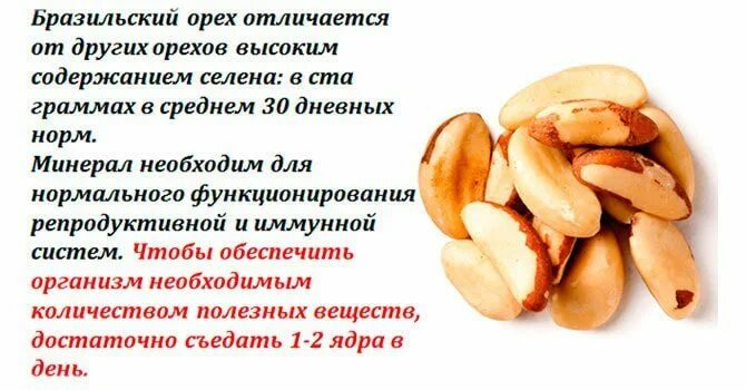 Селен норма в бразильском орехе. Бразильский орех польза и вред. Бразильский орех витамины