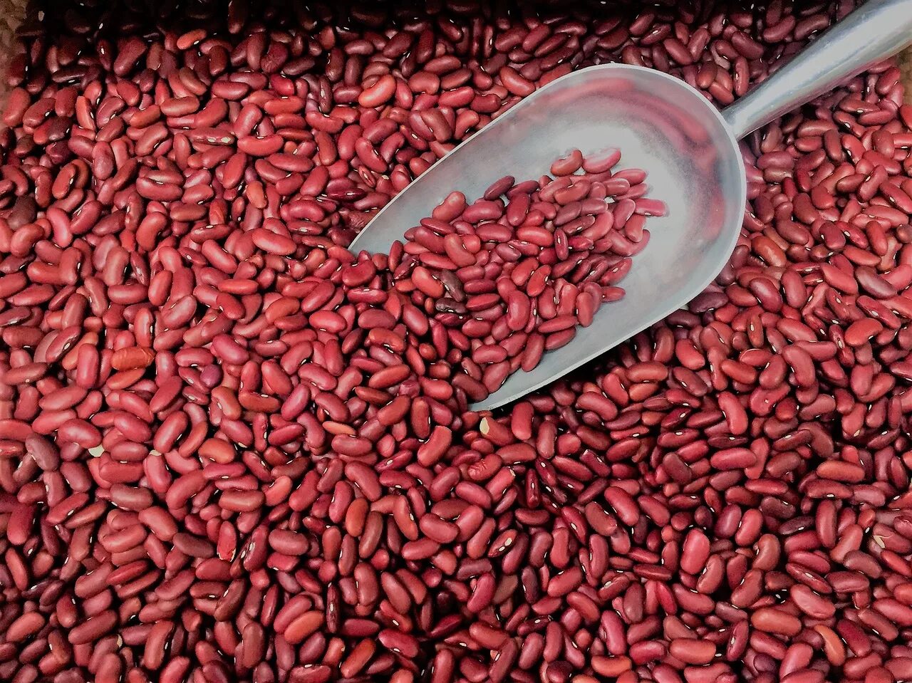 Beans build
