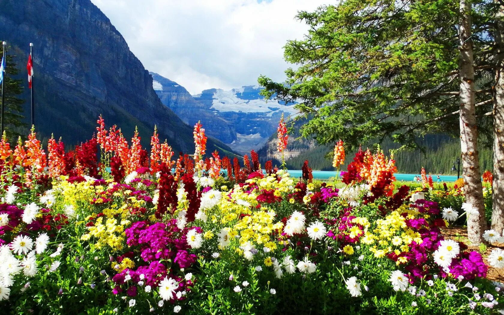 необычные украшения.