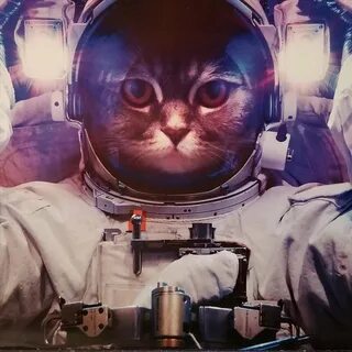 Плюс космонавт