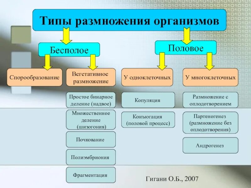 1 из типов размножения. Типы бесполого размножения схема. схема формы и способы размножения. схема способы размножения живых организмов. схема формы размножения организмов.