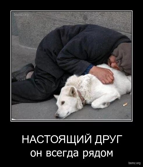 Настоящие друзья поссорились. Настоящие друзья всегда помогут. Настоящий друг. Настоящие друзья. Один за всех и все за одного.