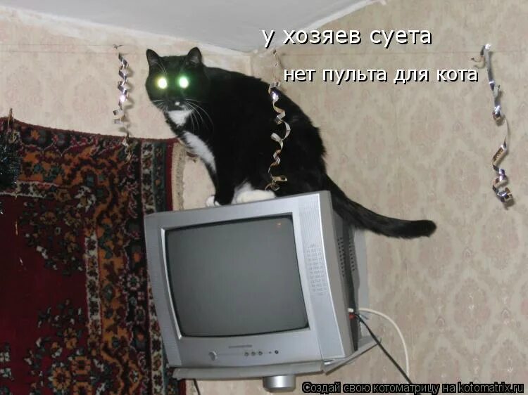 Кота считалка. Кошачий телевизор. Кот сидит на телевизоре. Кот и телевизор. Страшные считалки.