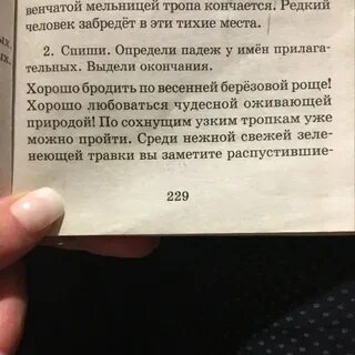 В березовой роще падеж