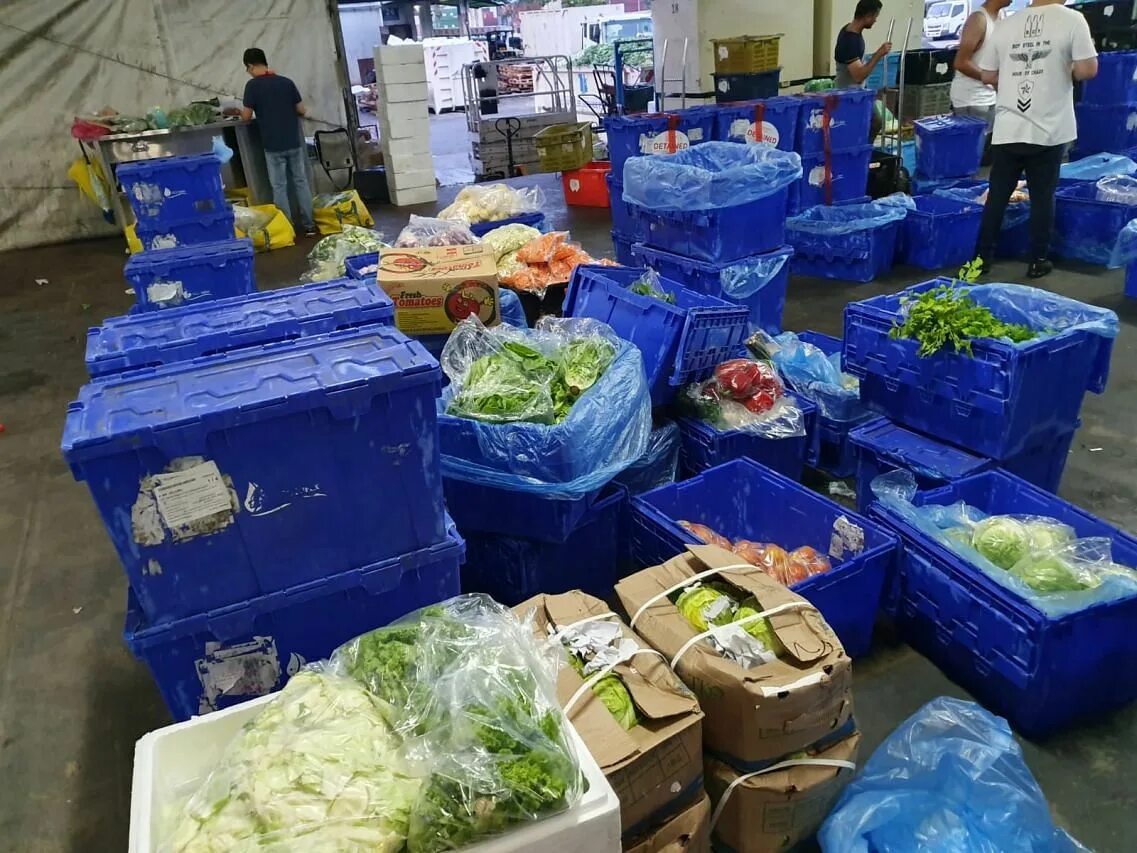 Здоровые продукты. Импорт продовольственной продукции. Foods import. Потребительские товары китая. Ərzaq istehsalatisimvolu.