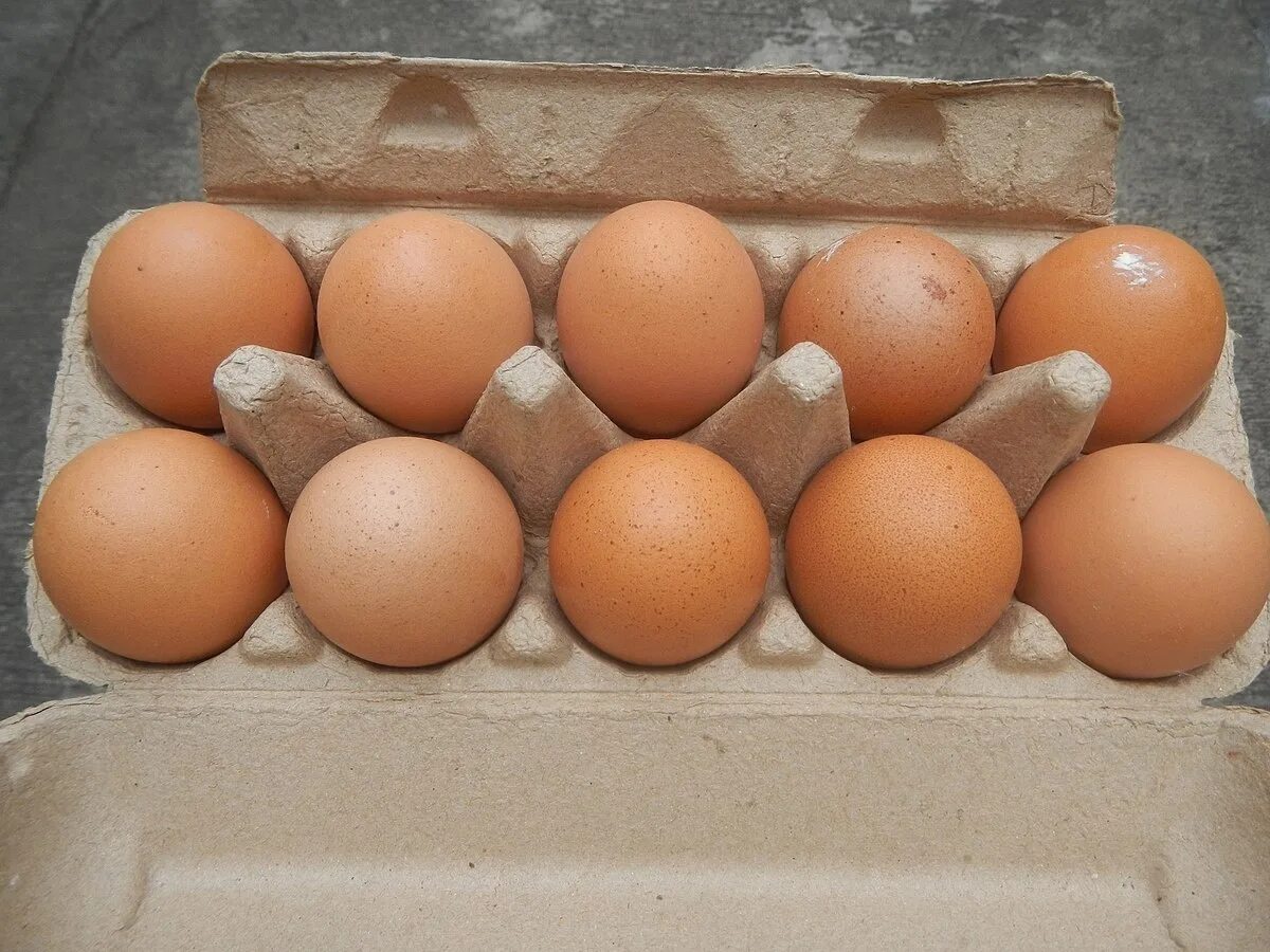 Купить челябинское яйцо. Яйцо домашнее куриное. Куриные яйца "царские". Яйцо куриное 20шт. Продаются домашние куриные яйца.