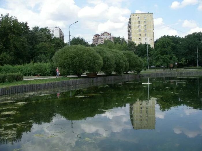 Минская пруд. Пруд около Багрицкого. Пруд в Минске. Пруд на Минской. Пруды минск