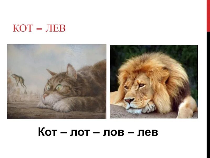 Кот лев. Лев и котенок Мем. Мемы котёнок Лев. Самооценка кот и Лев.