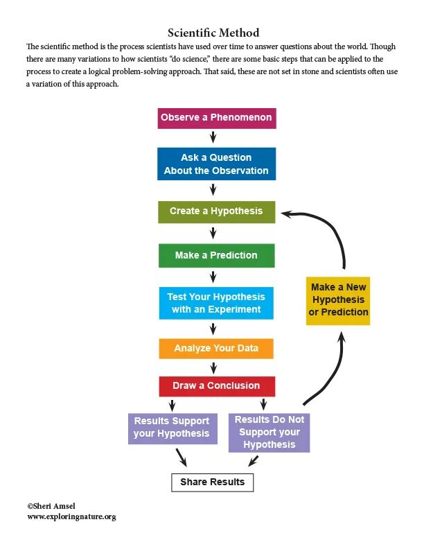 Theoretical Scientific method. The Scientific method ЕГЭ. The Scientific method ответы на вопросы. Scientific method