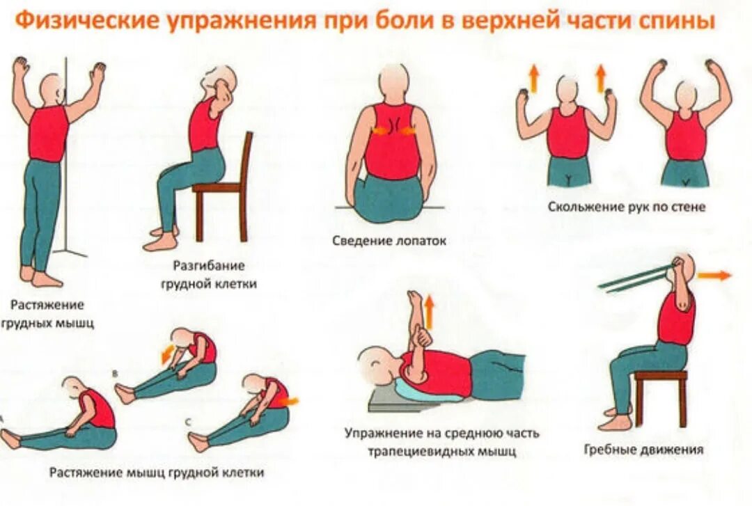 Комплекс упражнений при болях в грудном отделе позвоночника. ЛФК сколиоз грудного отдела позвоночника упражнения. Упражнения для снятия боли в грудном отделе спины. Упражнения при сколиозе шейного отдела позвоночника 1 степени.