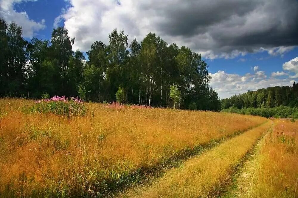 Конец лета чем закончился. Август природа. Летняя природа. Август пейзаж. Конец августа природа.