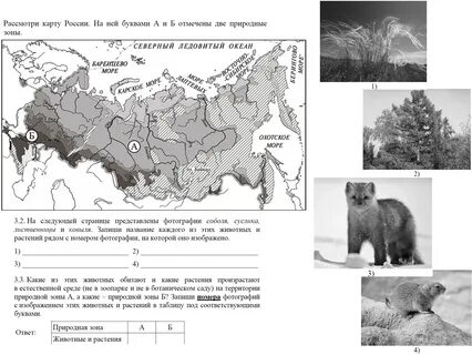Зоны по окр миру 4 класс природные YouDrop.ru